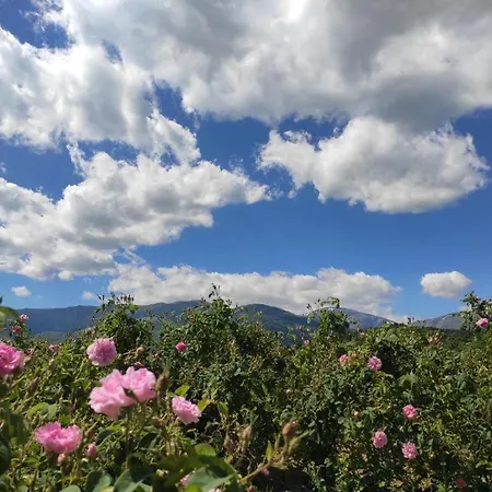 Konukevi за гости - къща тончеви 3*