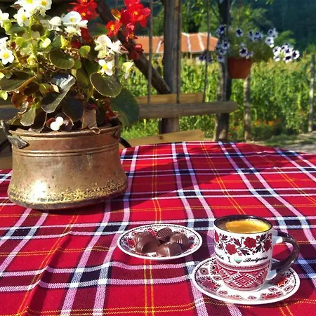 за гости - къща тончеви Kalofer