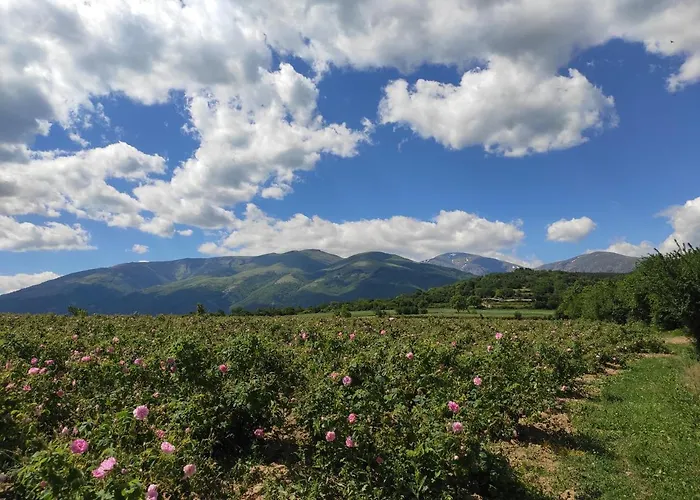 за гости - къща тончеви Guest house 3*