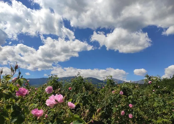 Guest house за гости - къща тончеви 3*